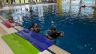 IMG-4463.jpg