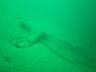 Attersee (16).jpeg