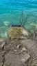 Attersee (23).jpeg