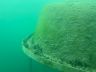 Attersee (37).jpeg