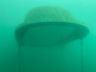 Attersee (39).jpeg