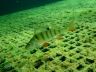 IMG-20230723-WA0007.jpg